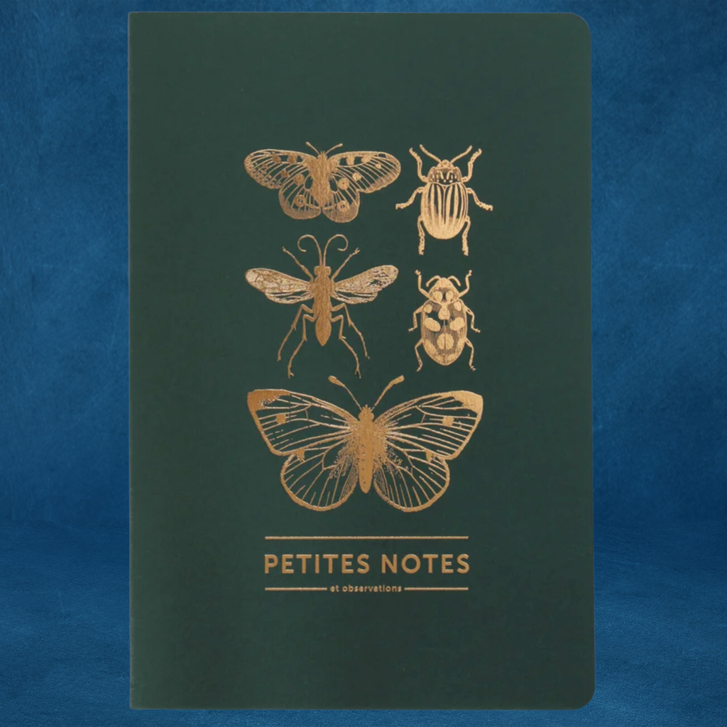 Carnet "Insectes"